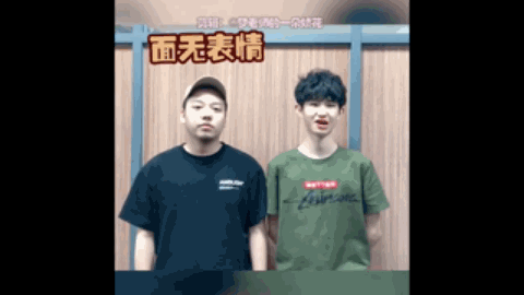 专业研究者